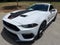 2023 Ford Mustang Mach 1 Fastback